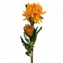Flores Marigold