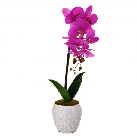 Arreglo Orquídea Lila con maceta Haus