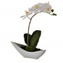 Arreglo Orquídea Blanca con maceta Haus