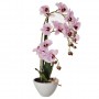 Arreglo Flor Orquídea Rosada con maceta Haus