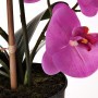 Arreglo Orquídea Fucsia con maceta Haus