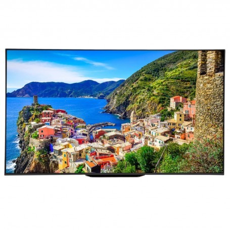 TV OLED digital ISDB-T 4K Android 65" XBR-65A8F Sony