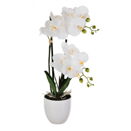 Arreglo Flor Orquídea Blanco con maceta Blanco Haus