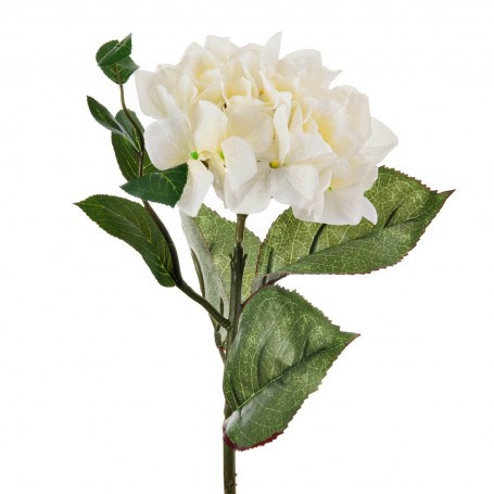 Flor Hortensia Blanca