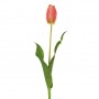 Flor Tulipán Holandés 58 cm Haus