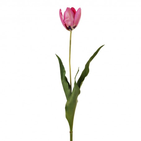 Flor Tulipán Holandés 58 cm Haus