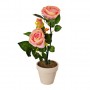 Planta con 2 rosas / botón y maceta Haus