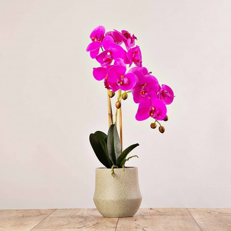 Arreglo Flor Orquídea con maceta jaspeada Haus