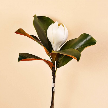 Flor Magnolia Poliéster / Plástico / Alambre Haus