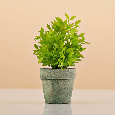 Mini planta artificial Verde con maceta redonda Haus