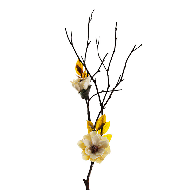 Rama Silvestre Magnolia Belinda Flowers