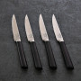 Cuchillos con bloque 13 piezas Logan Hampton Forge