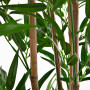 Planta con maceta Bamboo Haus