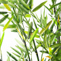 Planta bambú con maceta negra Haus