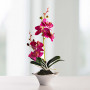 Mini arreglo orquídea con maceta Haus