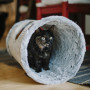 Túnel para gato
