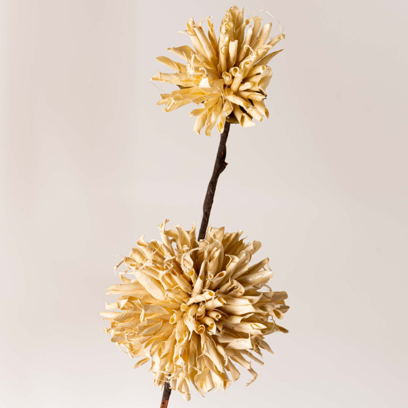 Rama con 2 Mini Crisantemo Belinda Flowers