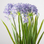 Planta Artificial con Flores Moradas y Maceta 67cm Plástico / Hierro