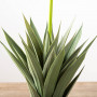 Planta Artificial con Flor Beige y Maceta 64cm Plástico / Hierro