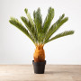 Planta Artificial Palma con Maceta 100cm Plástico / Hierro