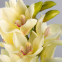 Flor Orquídea Cymbidium Plástico Haus