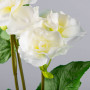 Flor Begonia Plástico Blanco Haus