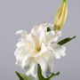 Flor Lirio de Plástico Blanco Haus