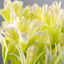Flor Agapanthus de Plástico Verde / Beige Haus