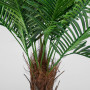 Planta Artificial Palma con Maceta de Plástico Haus