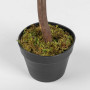 Planta Artificial Ficus Benjamina con Maceta de Plástico Haus