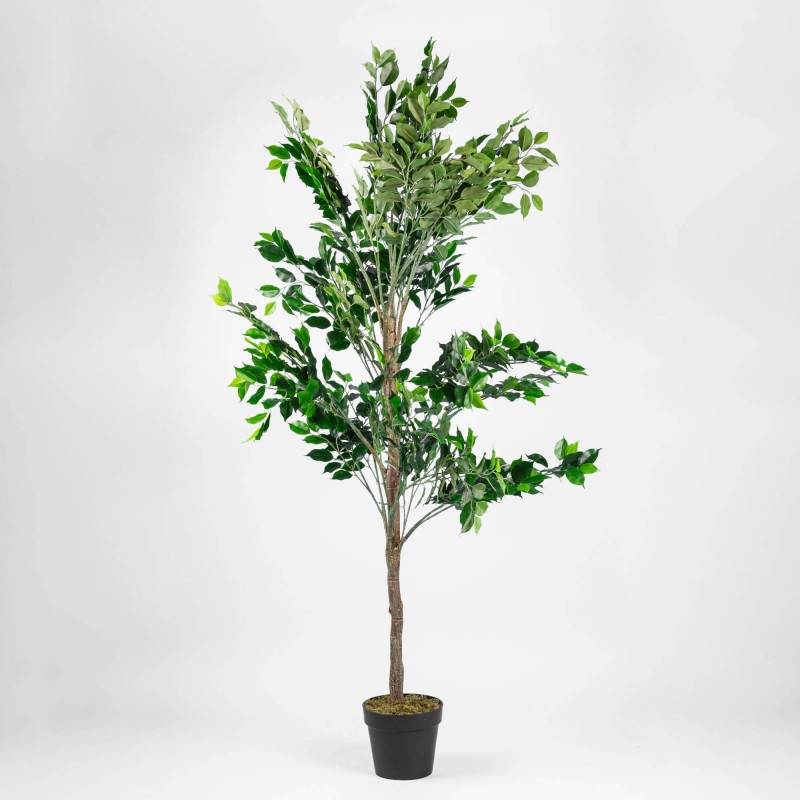 Planta Artificial Grande Ficus Benjamina con Maceta de Plástico Haus