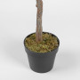 Planta Artificial Grande Ficus Benjamina con Maceta de Plástico Haus