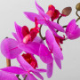 Arreglo Flor Orquídea Artificial Morado con Maceta Blanca de Cerámica Haus