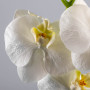 Flor Orquídea Phalaenopsis Orchid de Plástico Blanco Haus