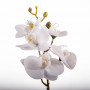 Flor Orquídea de Poliéster y Plástico con Maceta de Cerámica Haus