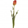 Flor Tulip Dutch Haus