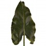 Flor Calla Leaf Haus