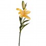 Flor Lily Lilium amarillo Haus